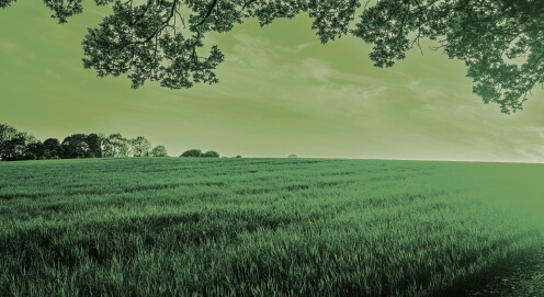 Plant your seed - Semvra