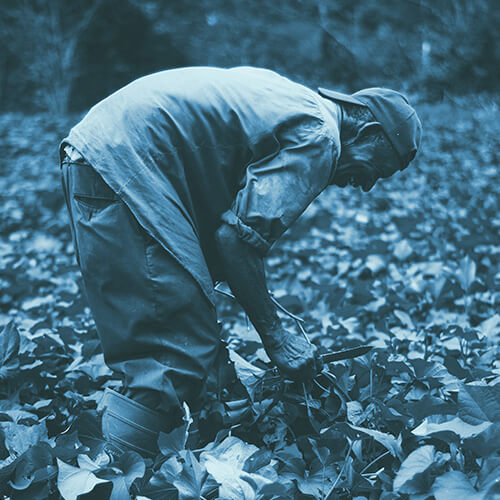 Our collaborators - Semvra