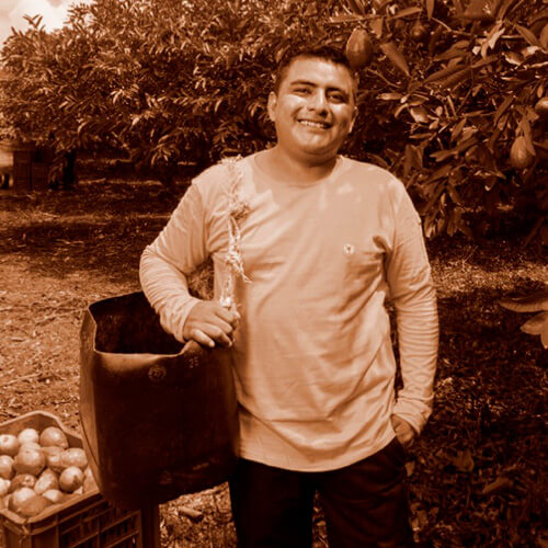 Our collaborators - Semvra