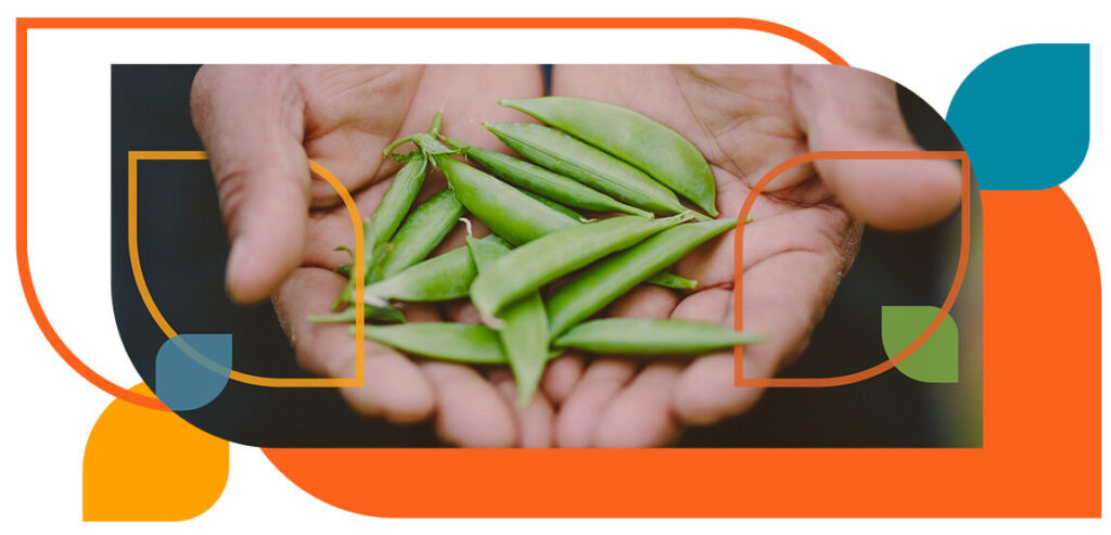 Semvra - Trazando el camino hacia una agroindustria justa