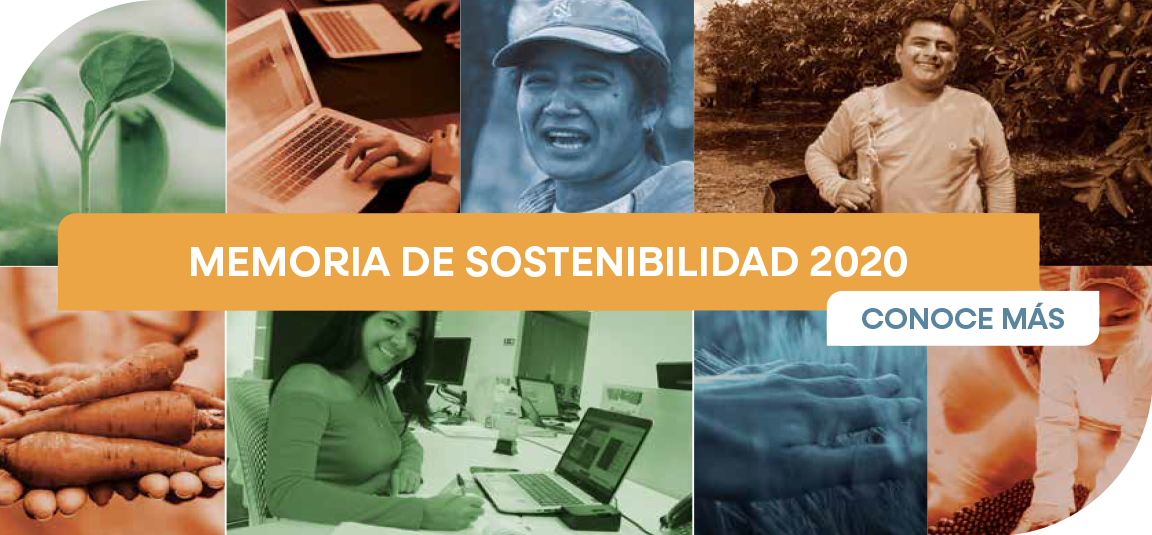 MEMORIA DE SOSTENIBILIDAD 2020