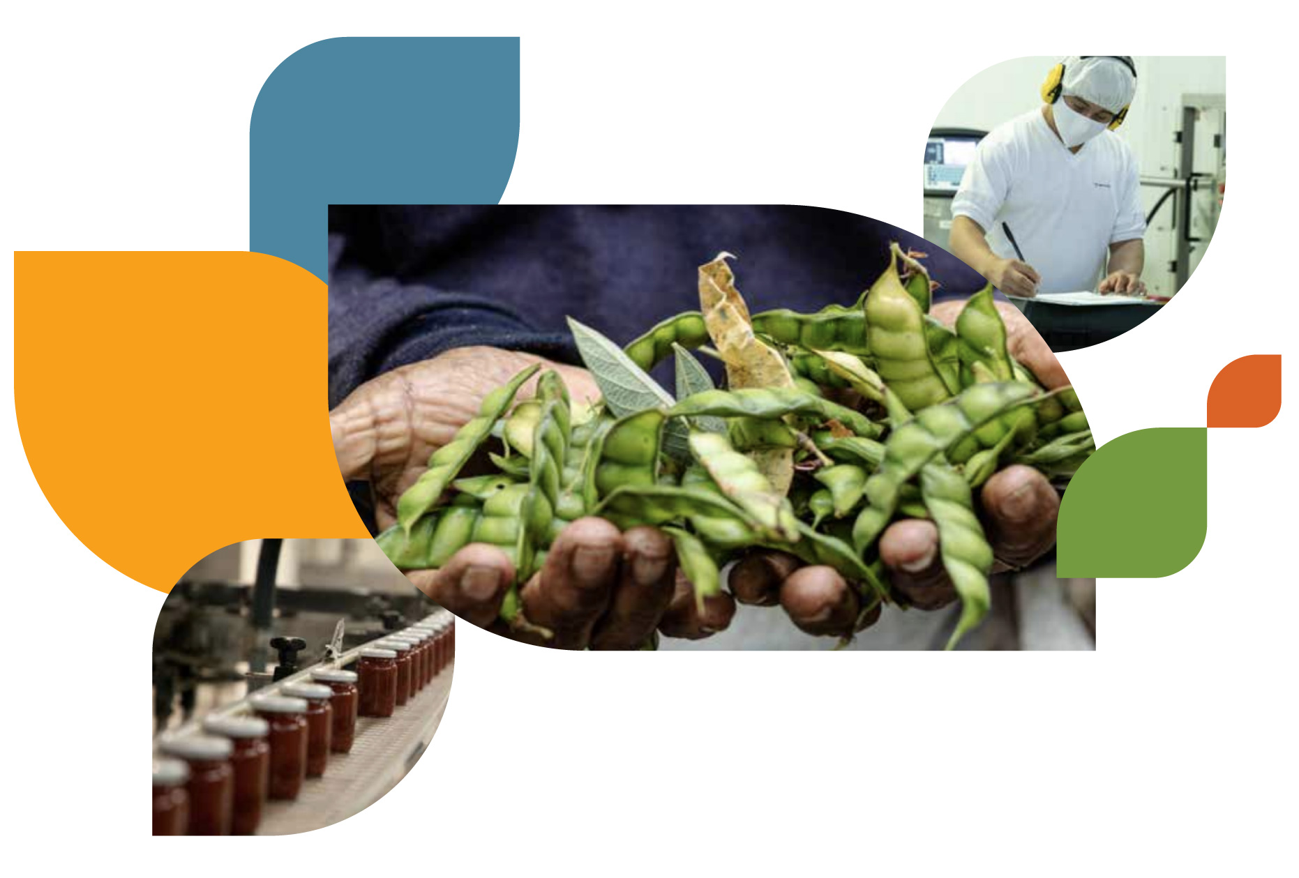 Memoria de Sostenibilidad - Semvra